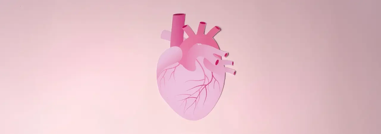 Kadın Kalp Sağlığı: Özel Dikkat Gerektiren Faktörler