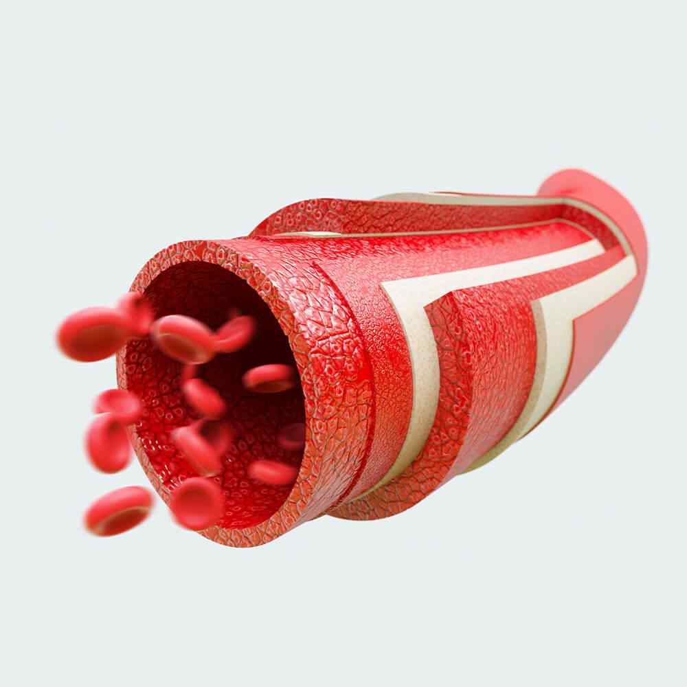 İstatistikler Görseli